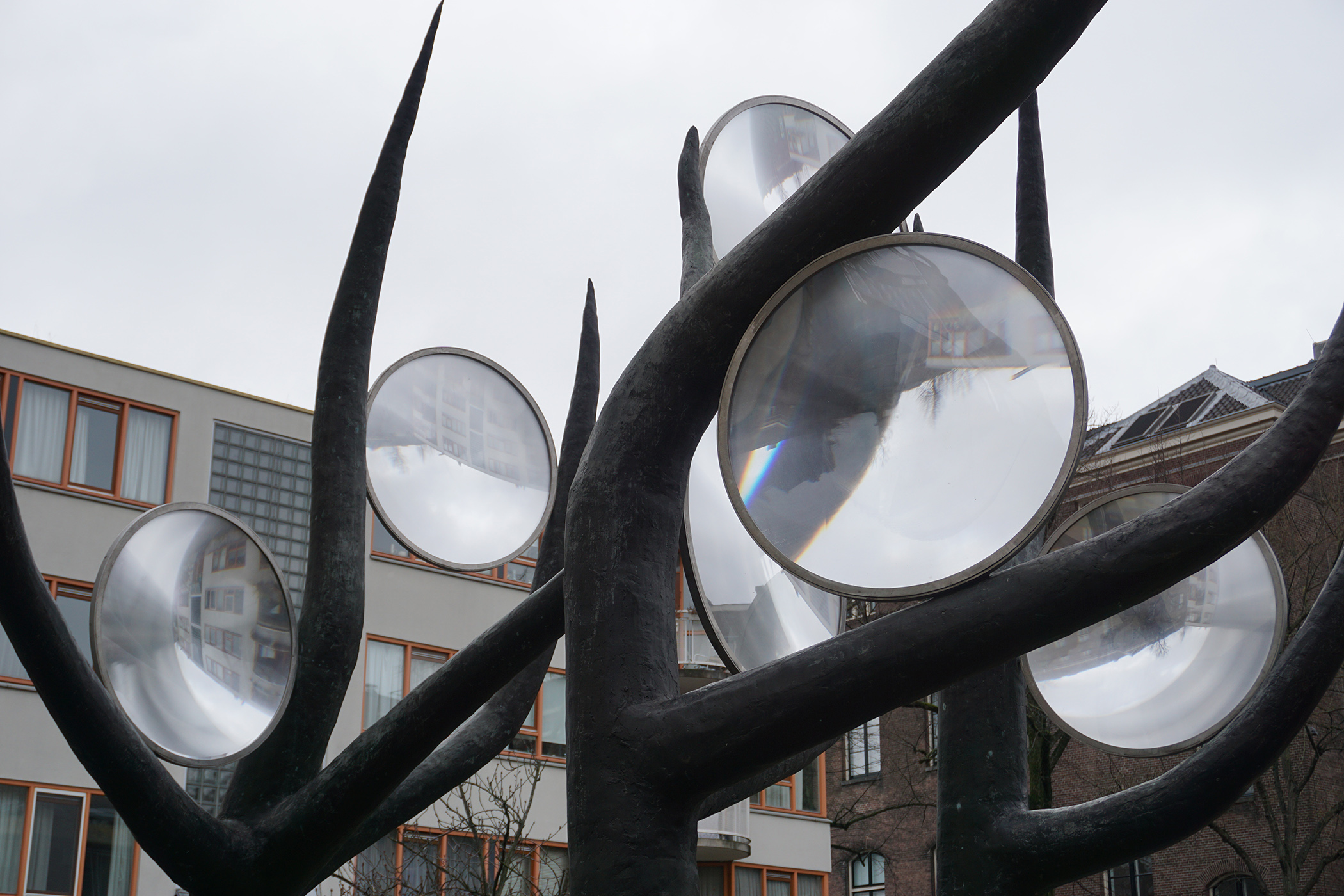 image Thom Puckey The Lens Trees, Binnengasthuisterrein, Amsterdam 4