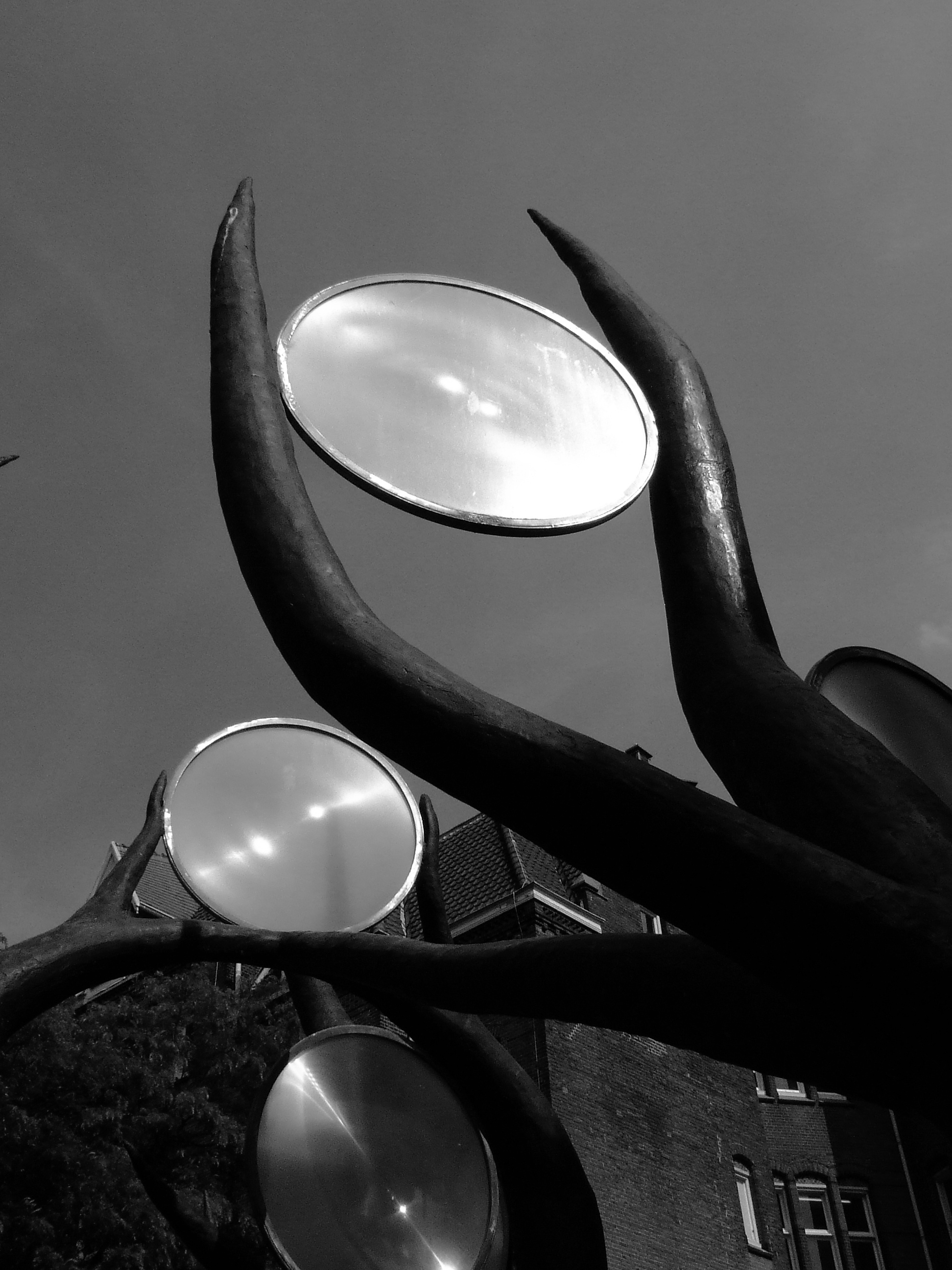 image Thom Puckey The Lens Trees, Binnengasthuisterrein, Amsterdam 3