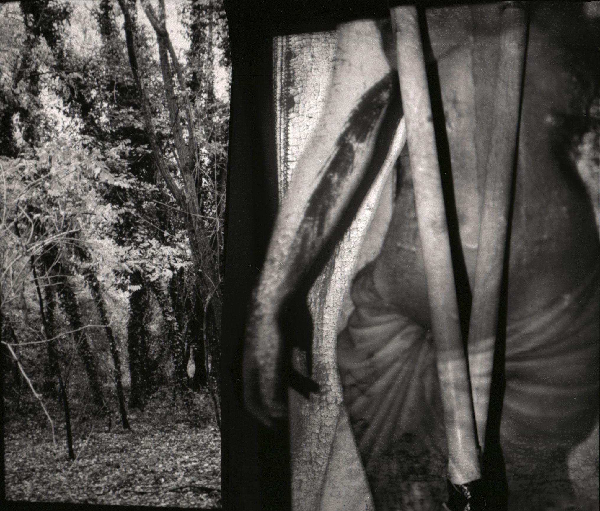 image Thom Puckey Falls the Shadow 0