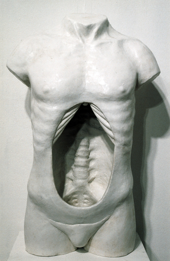 Hollow Torso by Thom Puckey