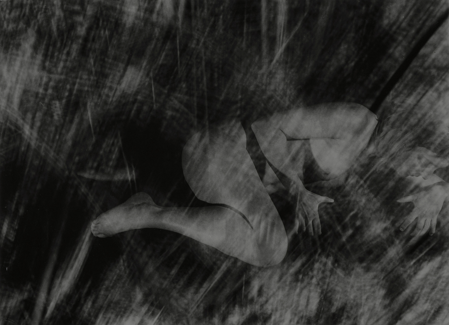 'I emerged from the' #2 by Thom Puckey