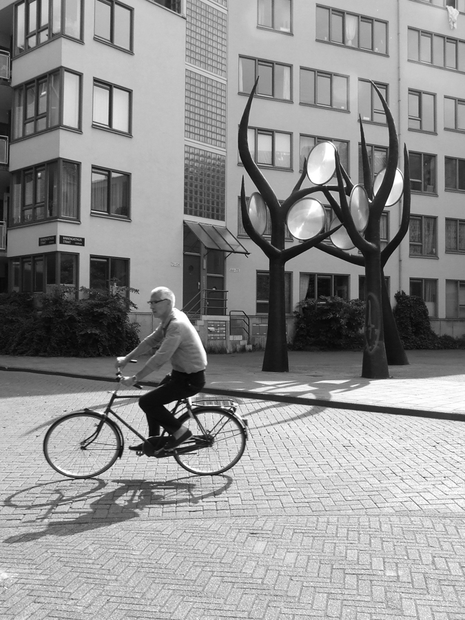 image Thom Puckey The Lens Trees, Binnengasthuisterrein, Amsterdam 1