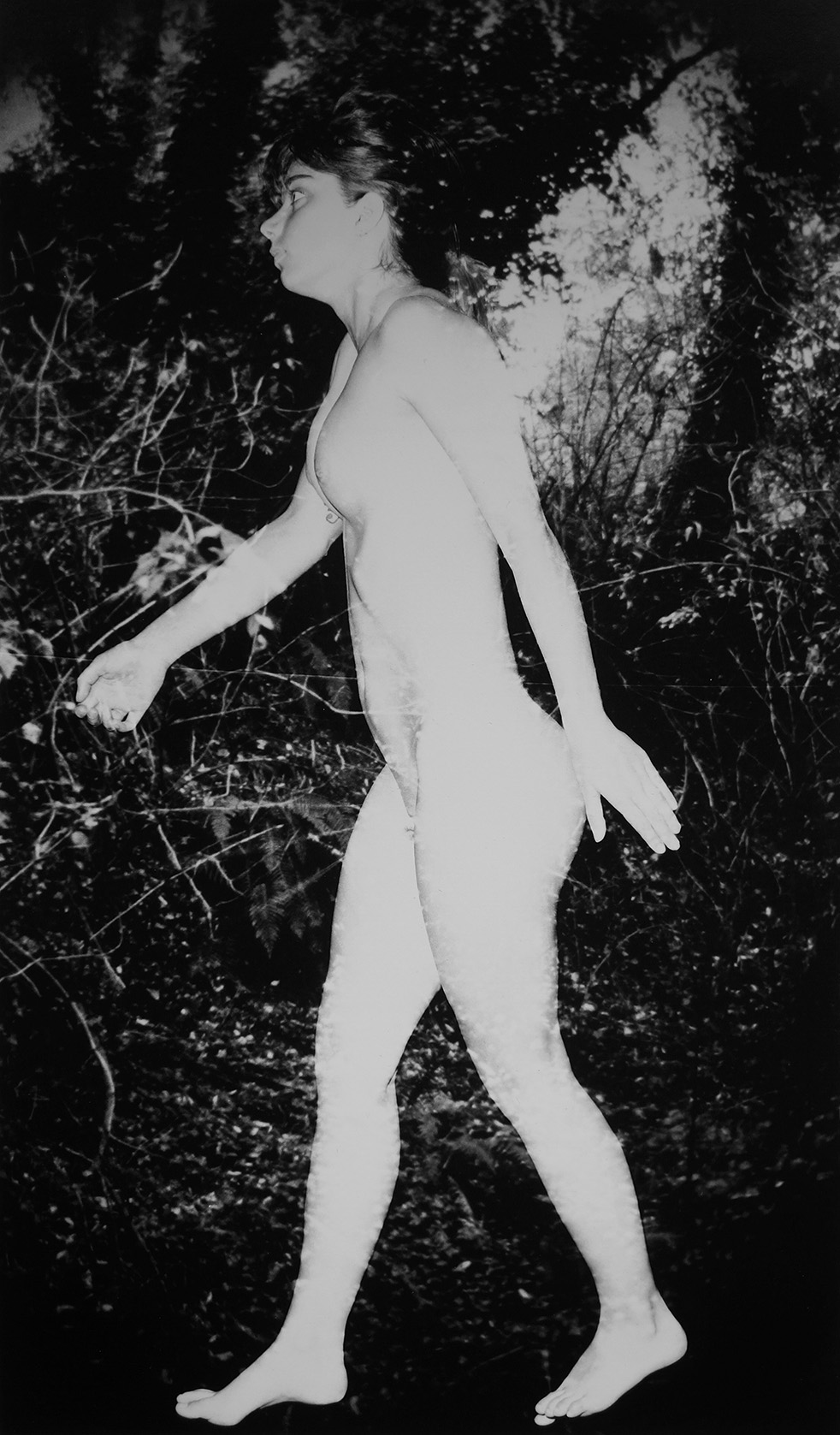 Nude situated in undergrowth by Thom Puckey