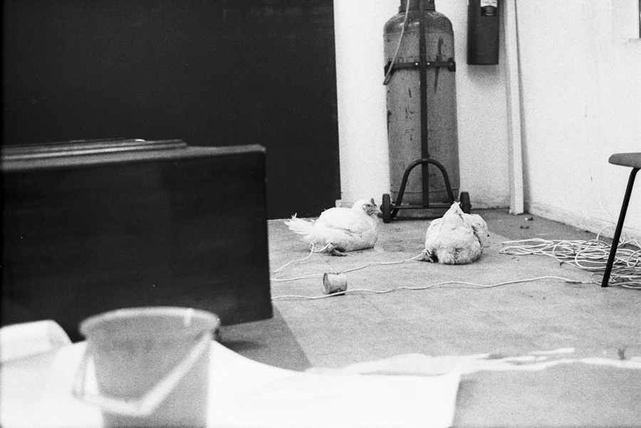image Thom Puckey Reindeer Werk at Goldsmiths College, April 1975 1