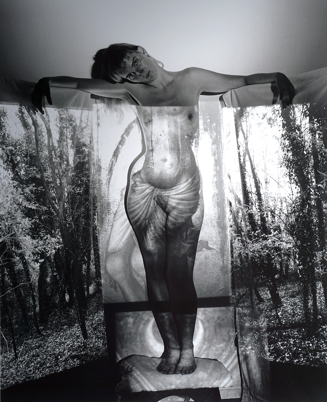 Untitled photograph