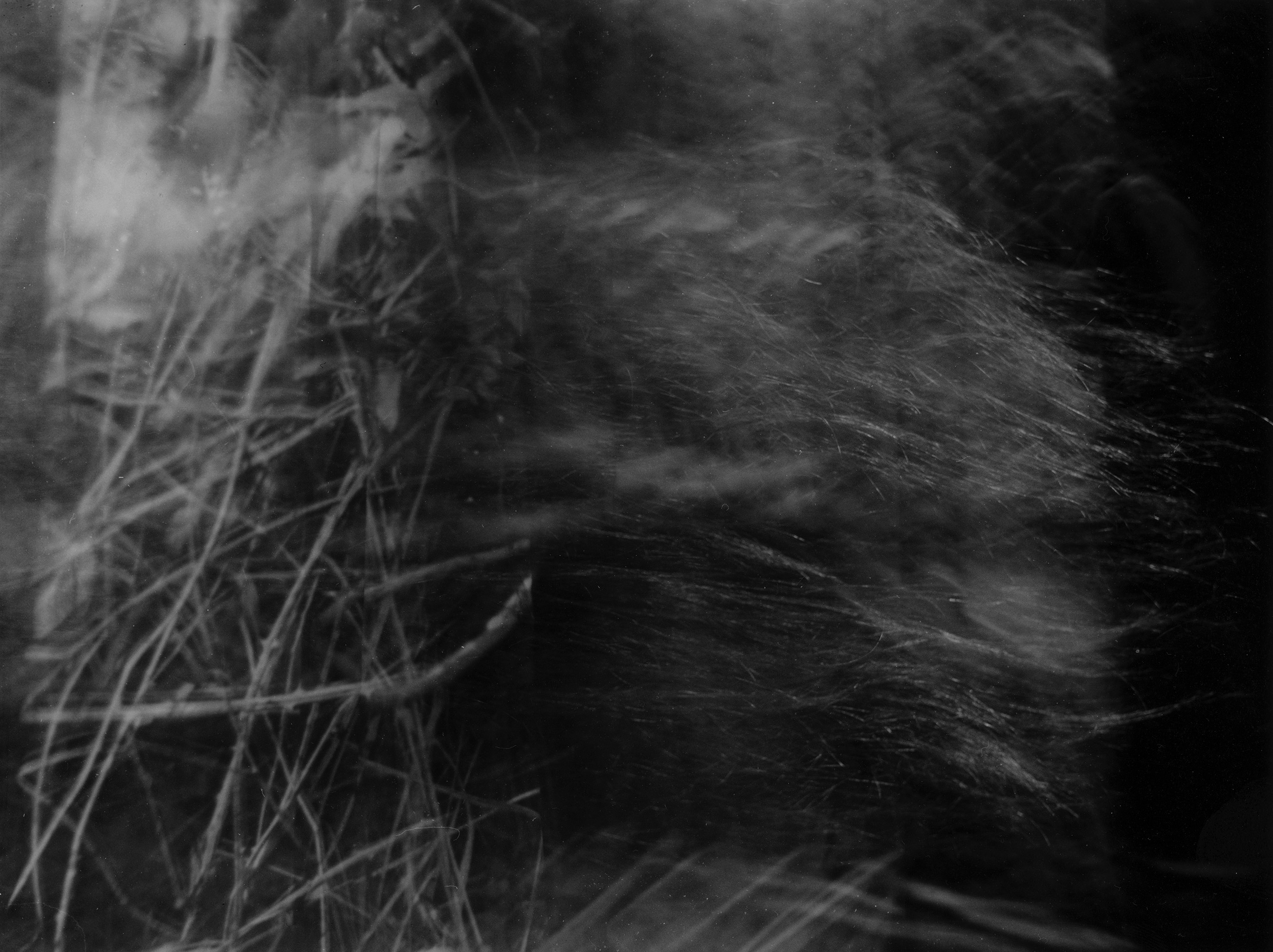 Untitled January 2026 by Thom Puckey