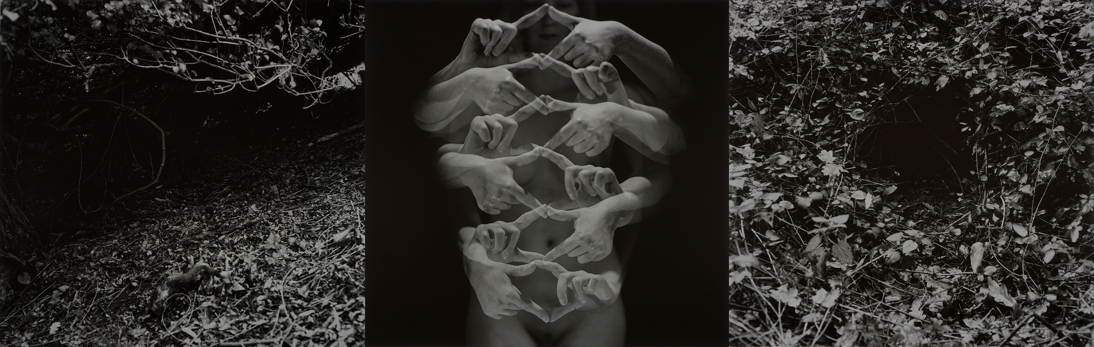 Triptych (cavity - ladder - cavity) by Thom Puckey