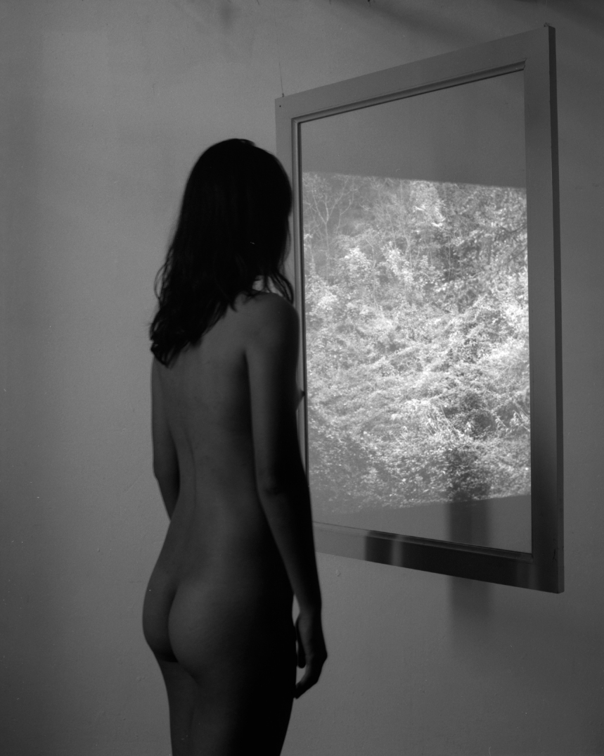 Untitled (Window) by Thom Puckey